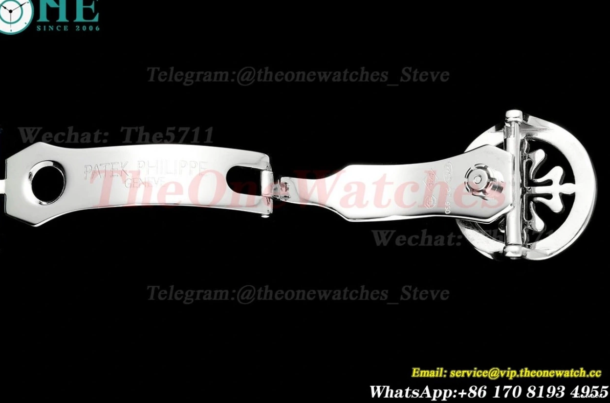 Sky Dial 42mm SS Complications Tourb RMSF LE Starry 0420